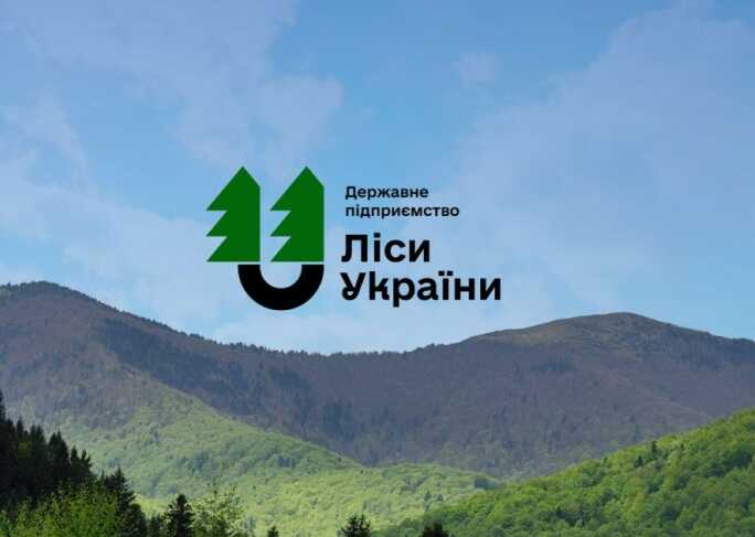 АМКУ викрив змову на закупівлі бирок для деревини ДП "Ліси України" на 90 мільйонів гривень